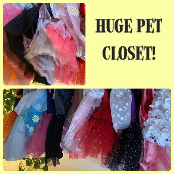 VISIT MY HUGE PETS CLOSET 🦋🦄🌈🍄 - Picture 1 of 8